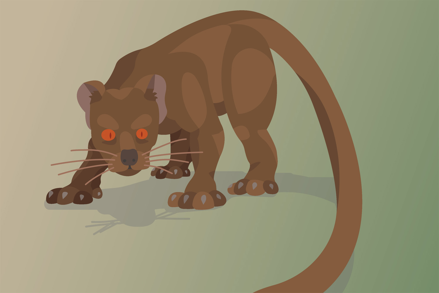 Fossa Translation