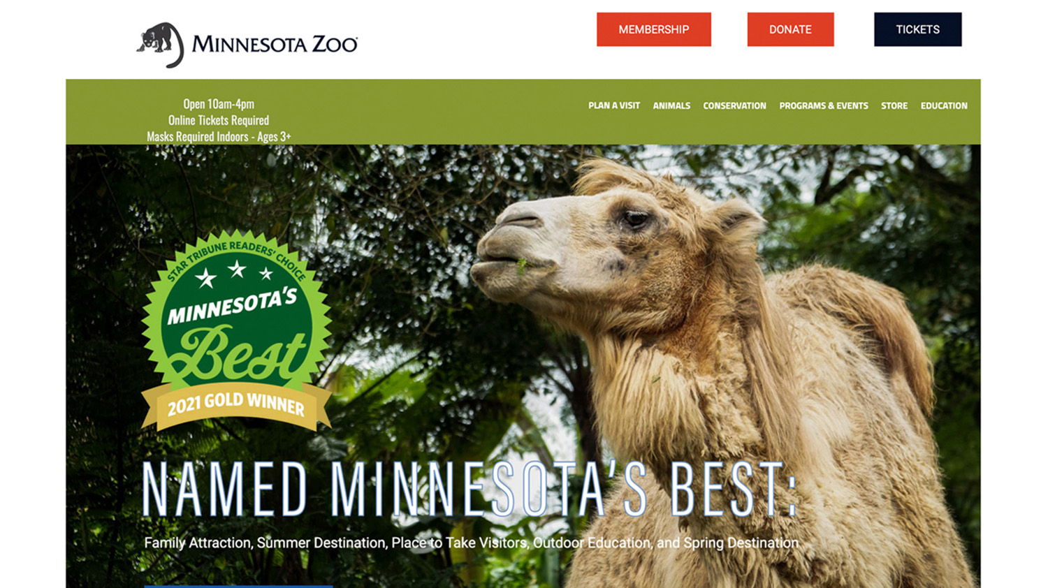 Website