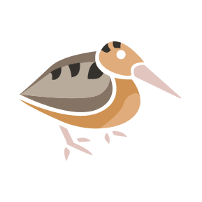 Cock-1