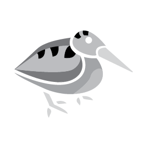 Cock-2