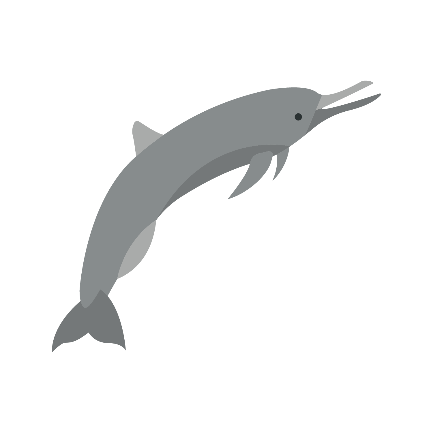 Dolphin