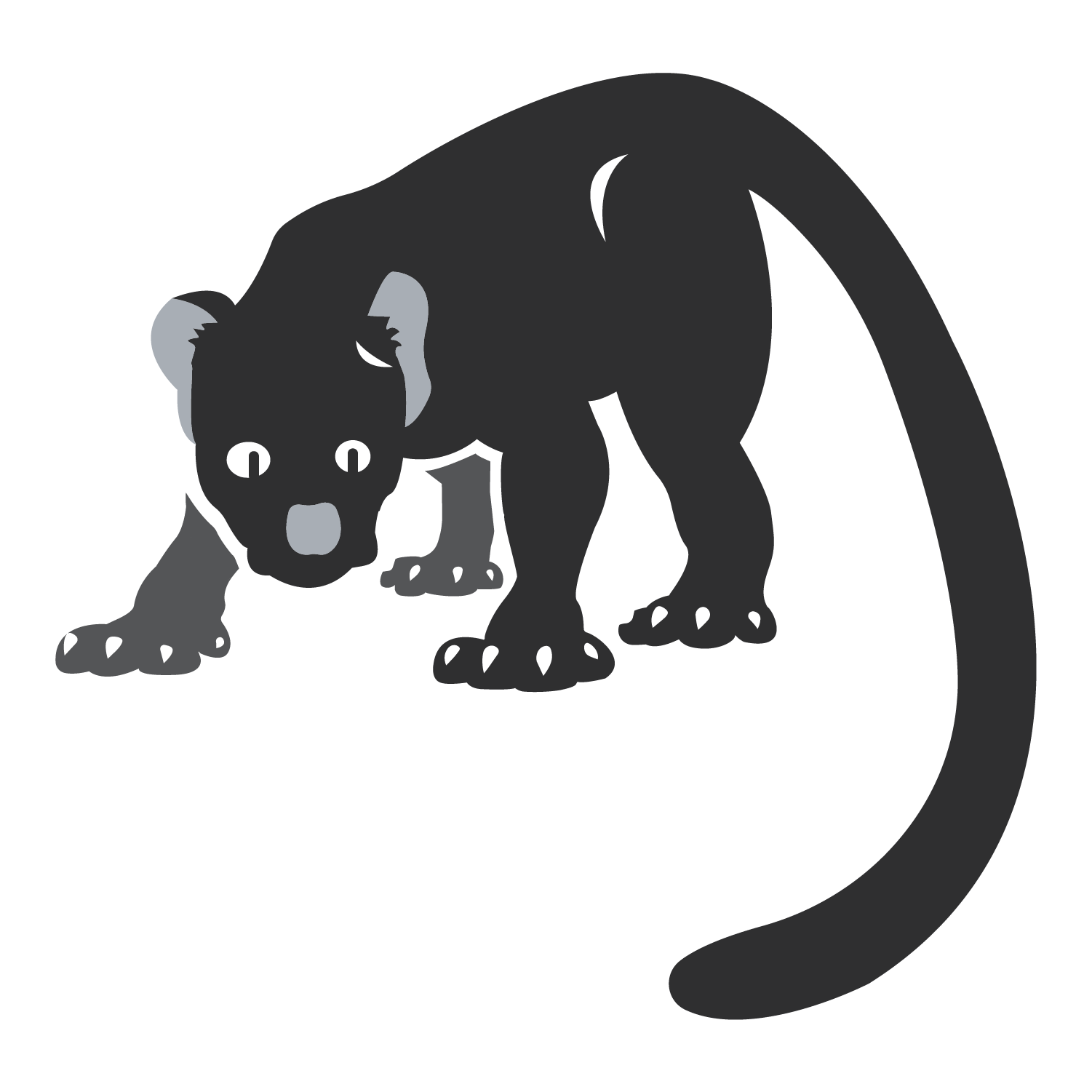 Fossa-02