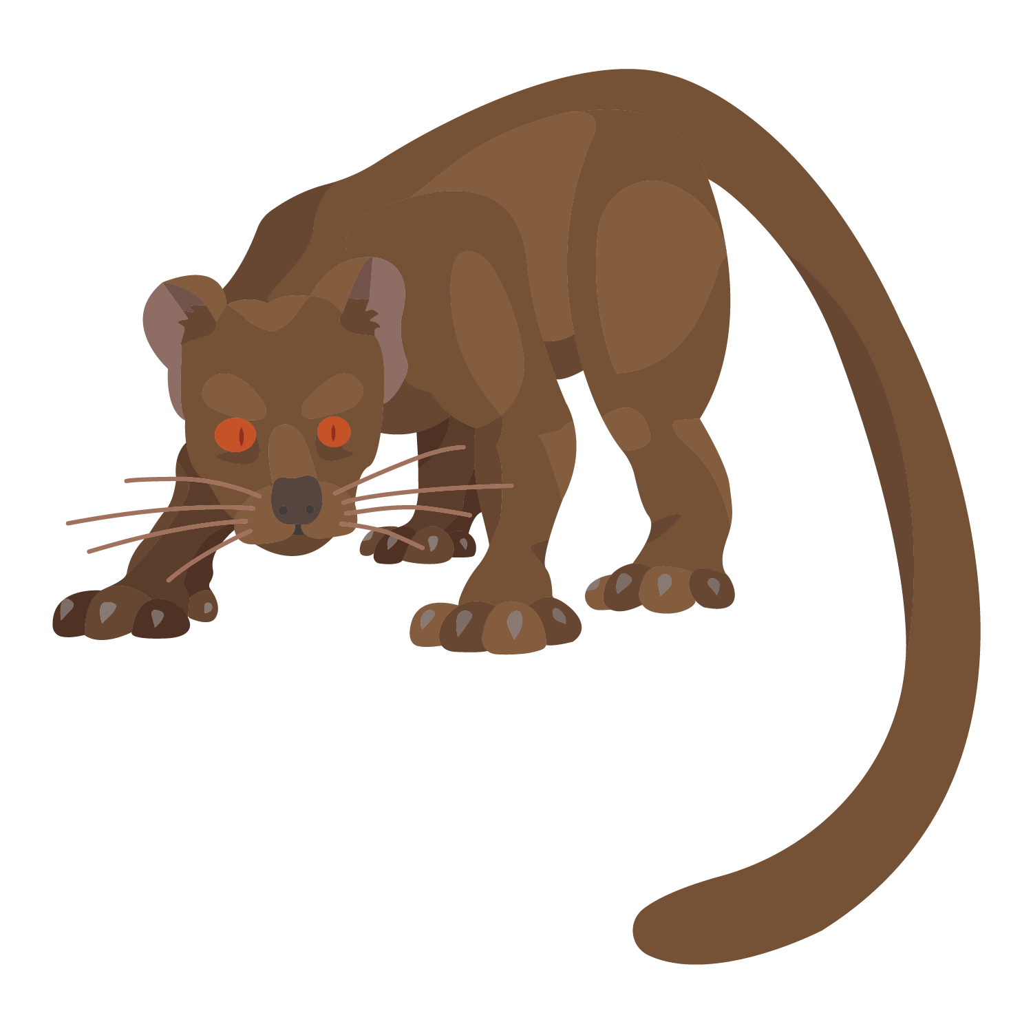 Fossa-04