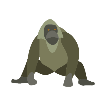 Grassman