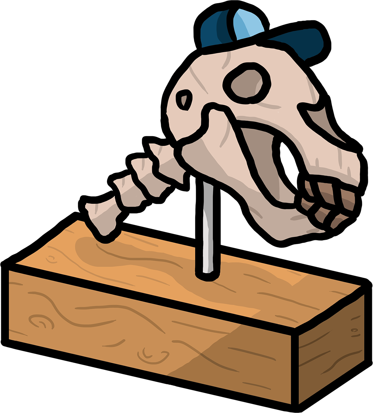 Skull