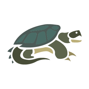 Snapper-1