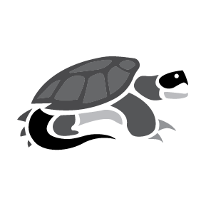 Snapper-2