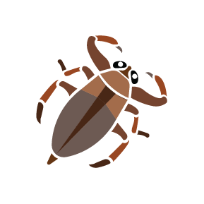 Waterbeetle-1