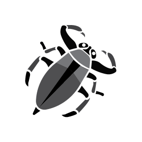 Waterbeetle-2